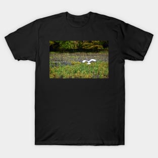 "Egret Beauty" T-Shirt